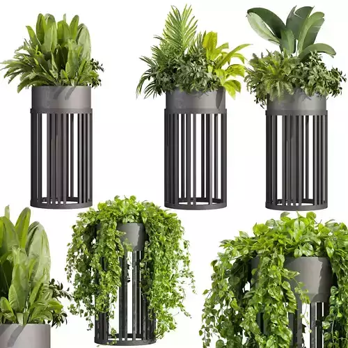 Collection plant vol 525 - circle - palm - office - pothos 