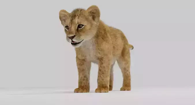 Young Lion Cup 3D model