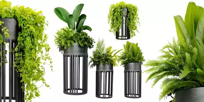 Collection plant vol 525 - blender model 