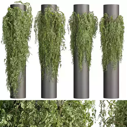  Collection plant vol 526 - bush - outdoor - column - fitowall 