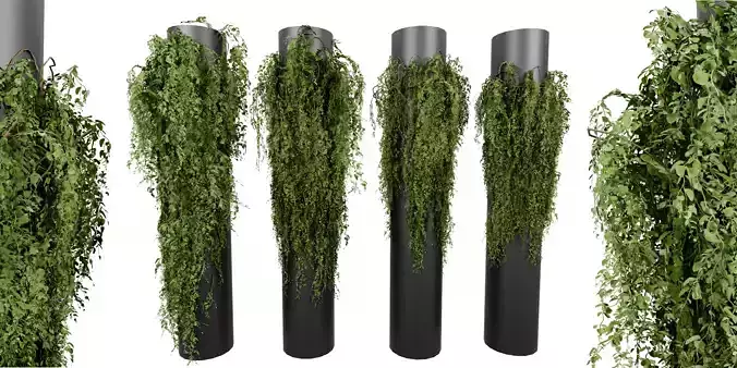 Collection plant vol 526 - blender model 