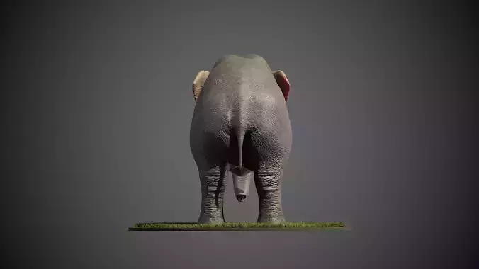 Elephant Low-poly 3D model Low-poly 3D model