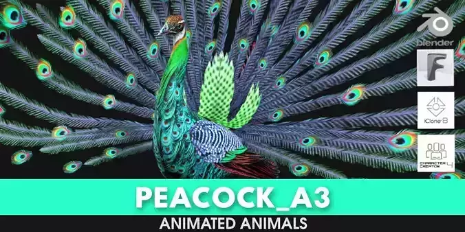 Peacock A3 3D model