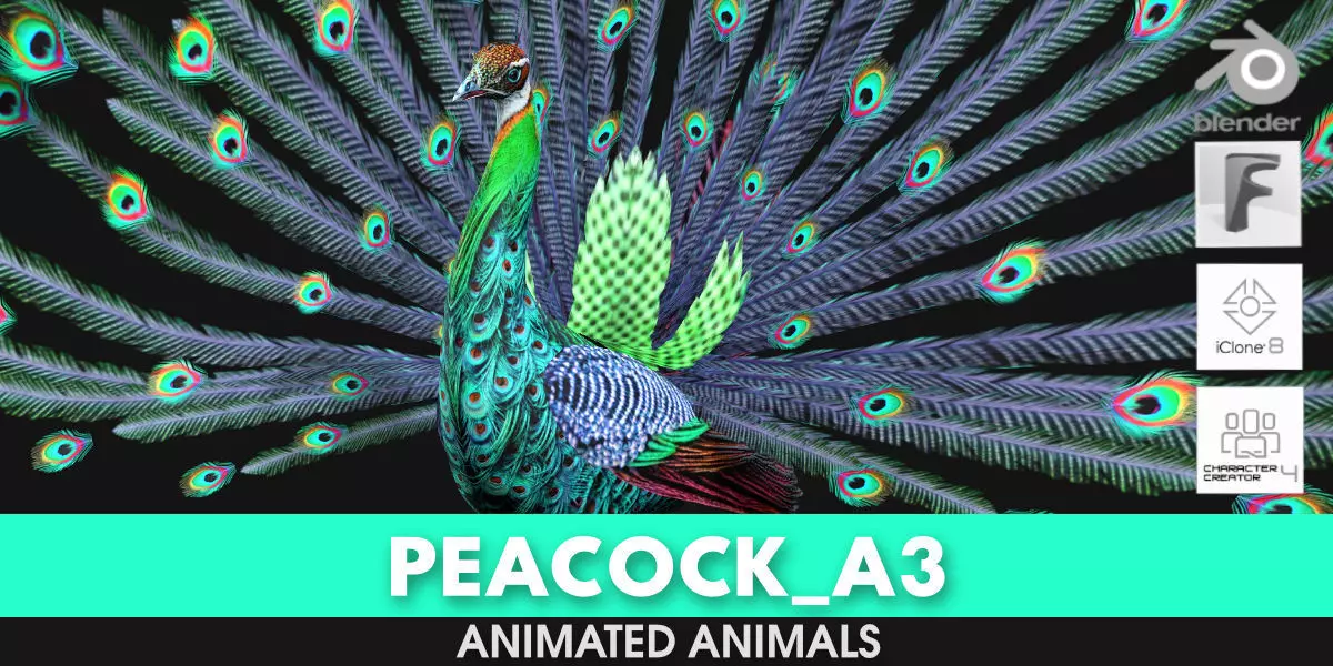 Peacock A3 3D model_0
