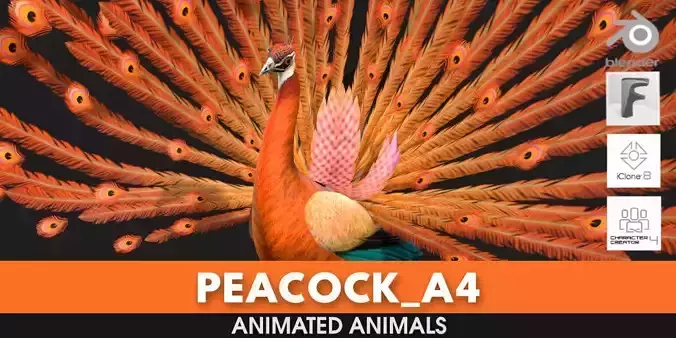 Peacock A4 3D model
