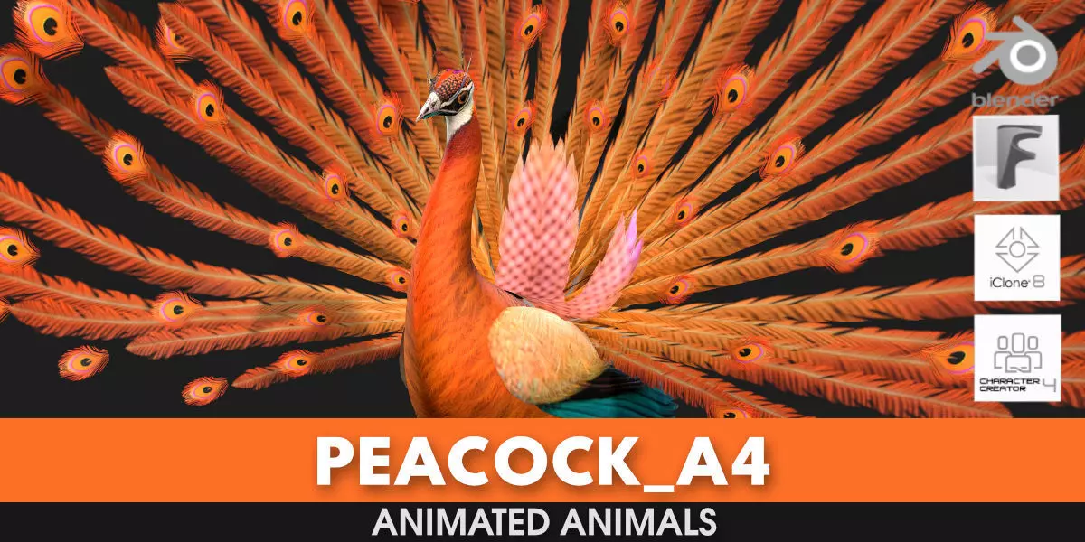 Peacock A4 3D model_0