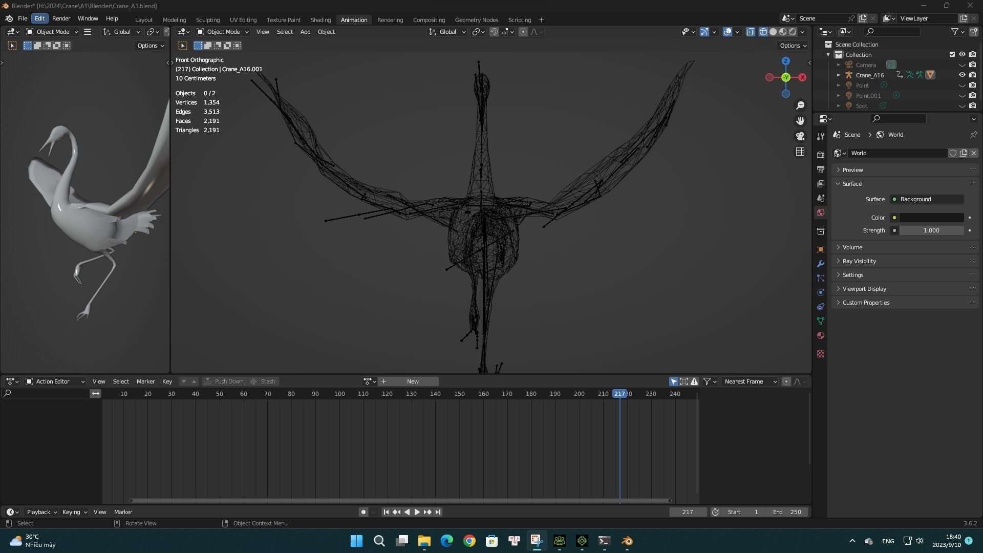 Crane Bird A1 3D model_11