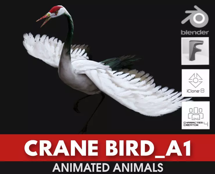 Crane Bird A1 3D model_0