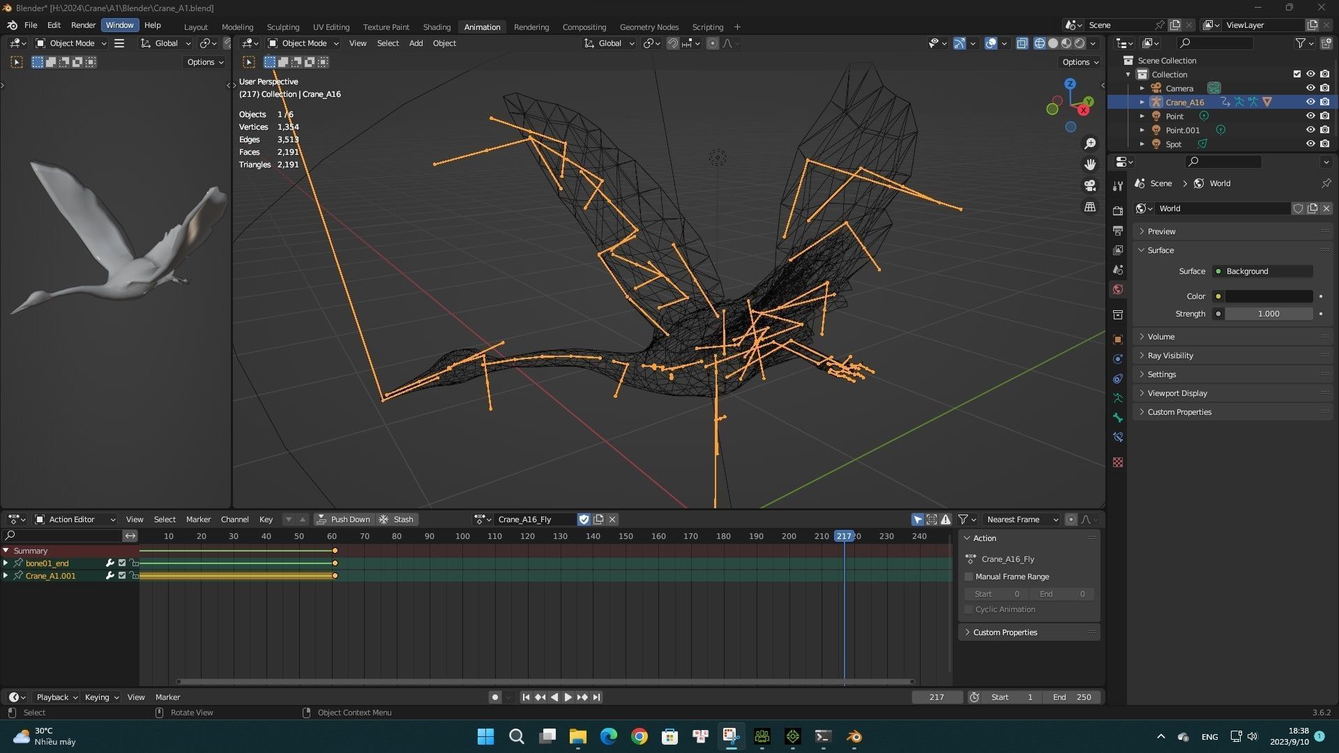 Crane Bird A1 3D model_9
