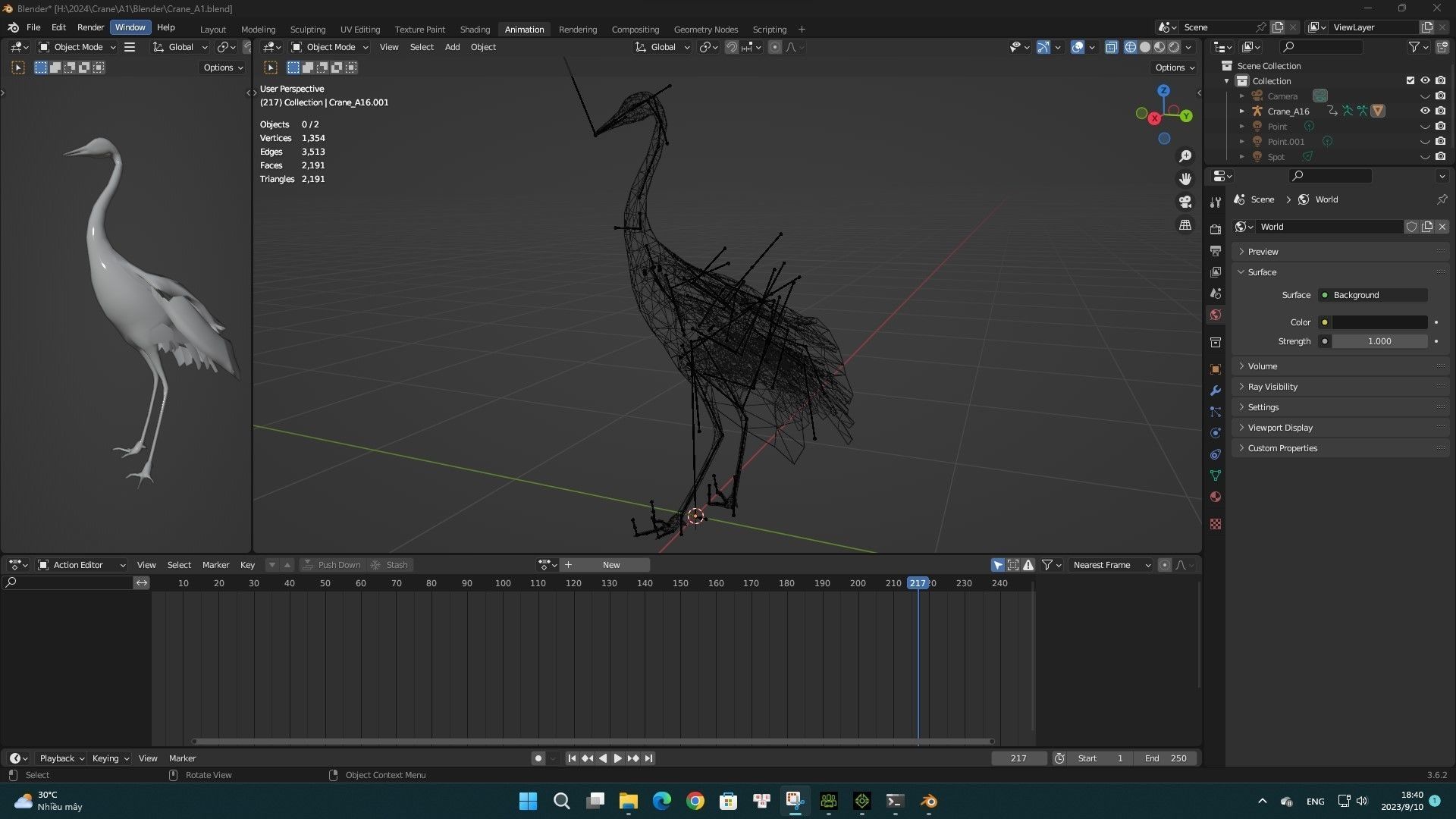 Crane Bird A1 3D model_10
