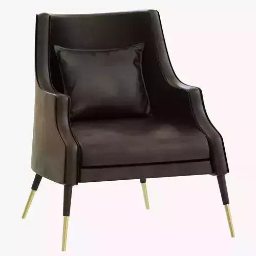 Delightfull ELIS ARMCHAIR 3D model
