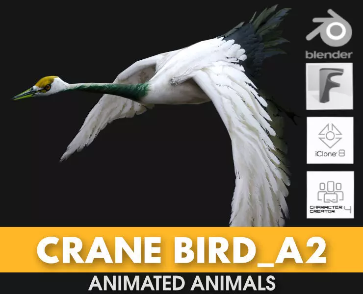 Crane Bird A2 3D model_0