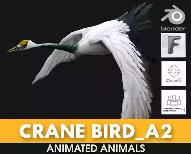 Crane Bird A2 3D model