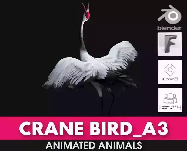 Crane Bird A3