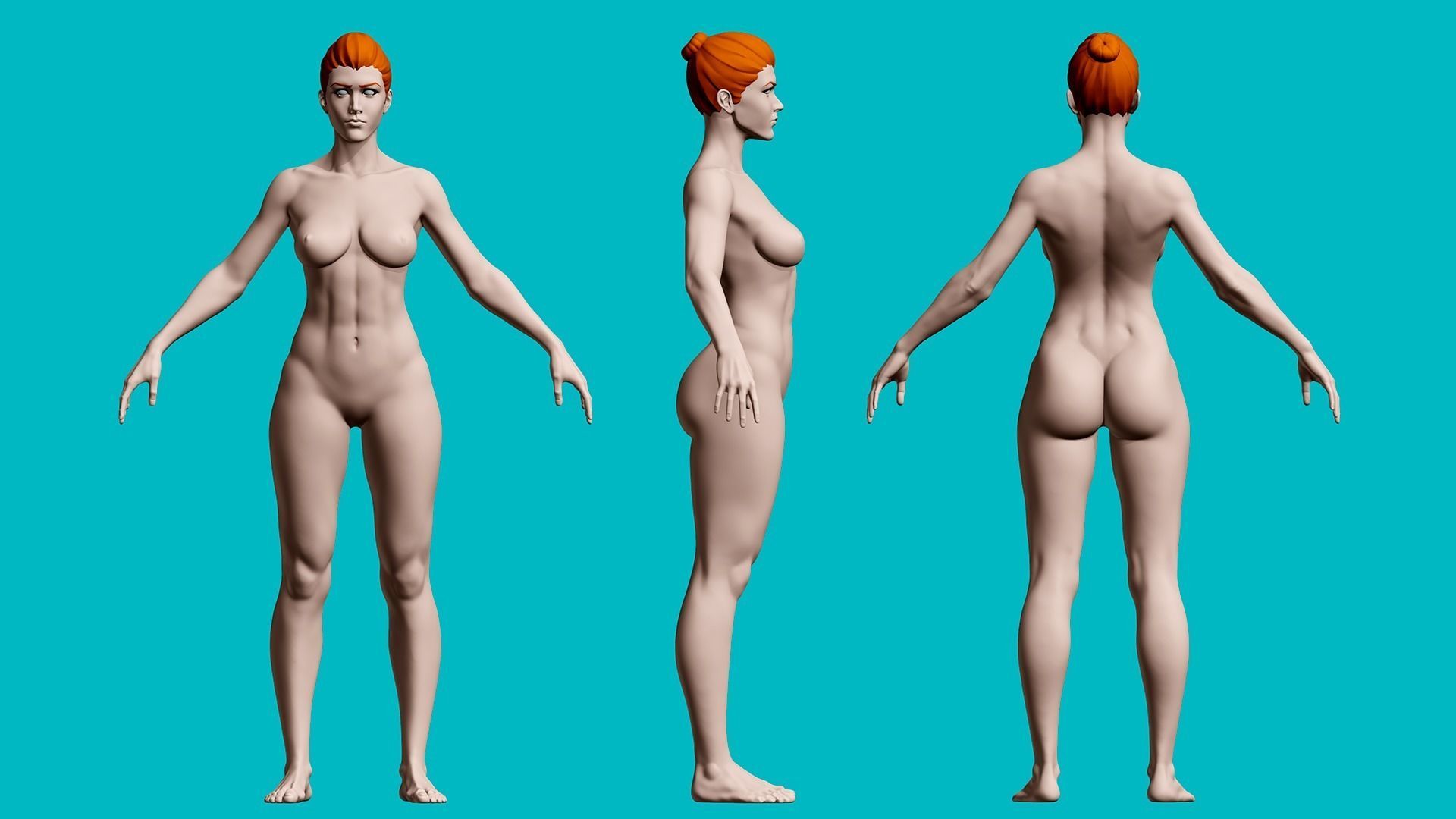 Female Anatomy Basemesh 3D model_2