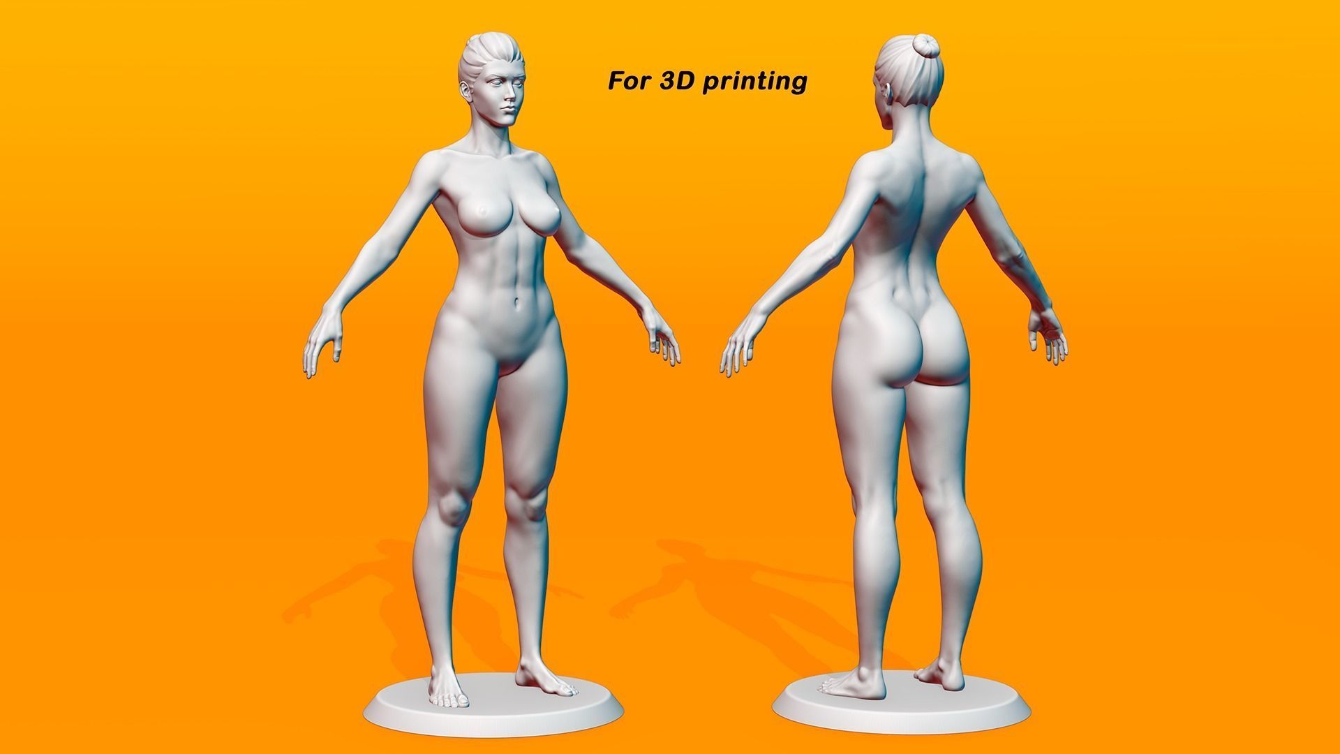 Female Anatomy Basemesh 3D model_4