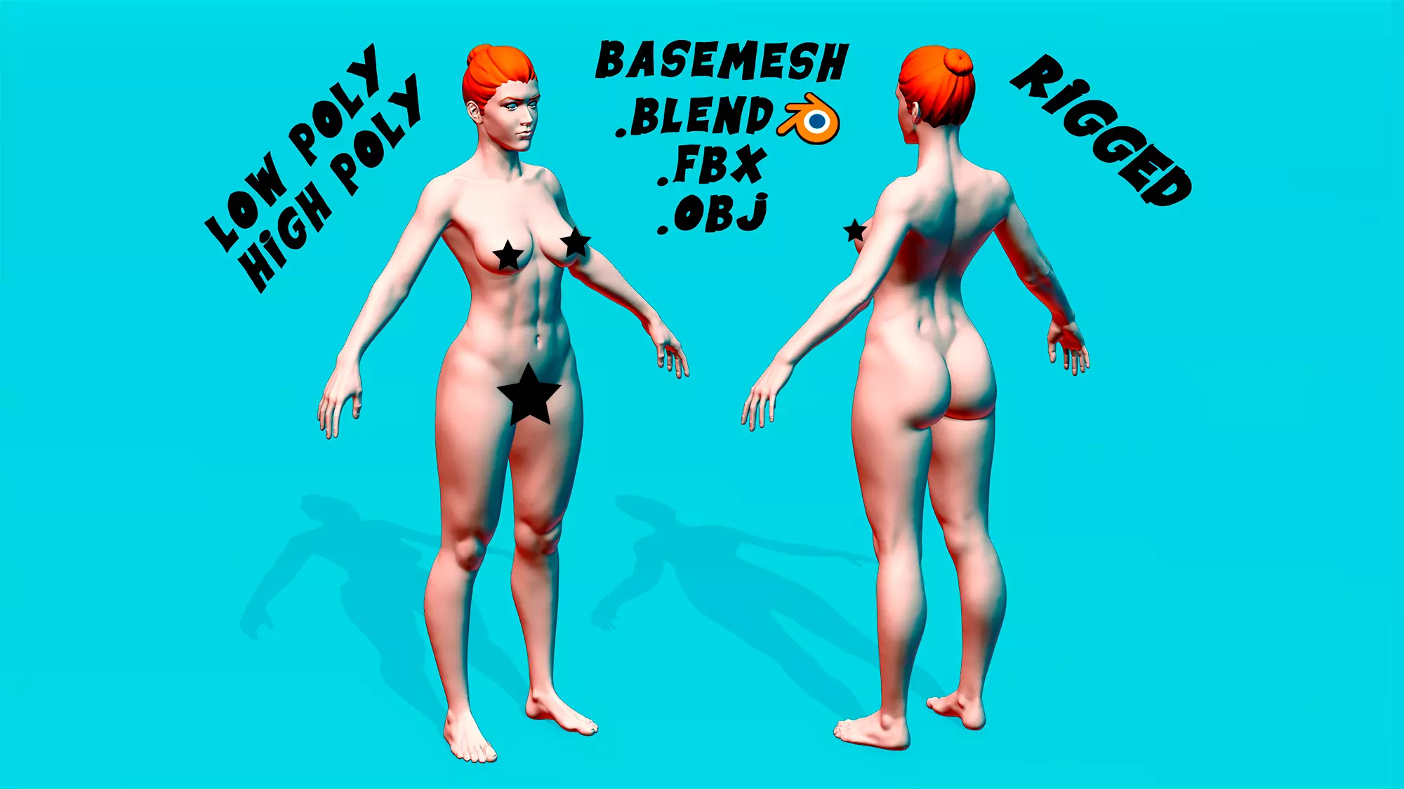 Female Anatomy Basemesh 3D model_0