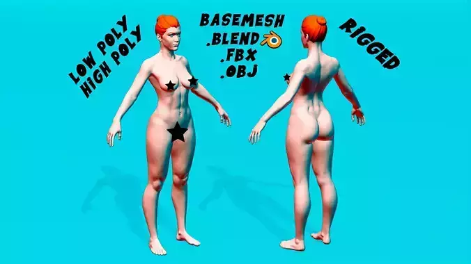 Female Anatomy Basemesh 3D model Female Anatomy Basemesh 3D model