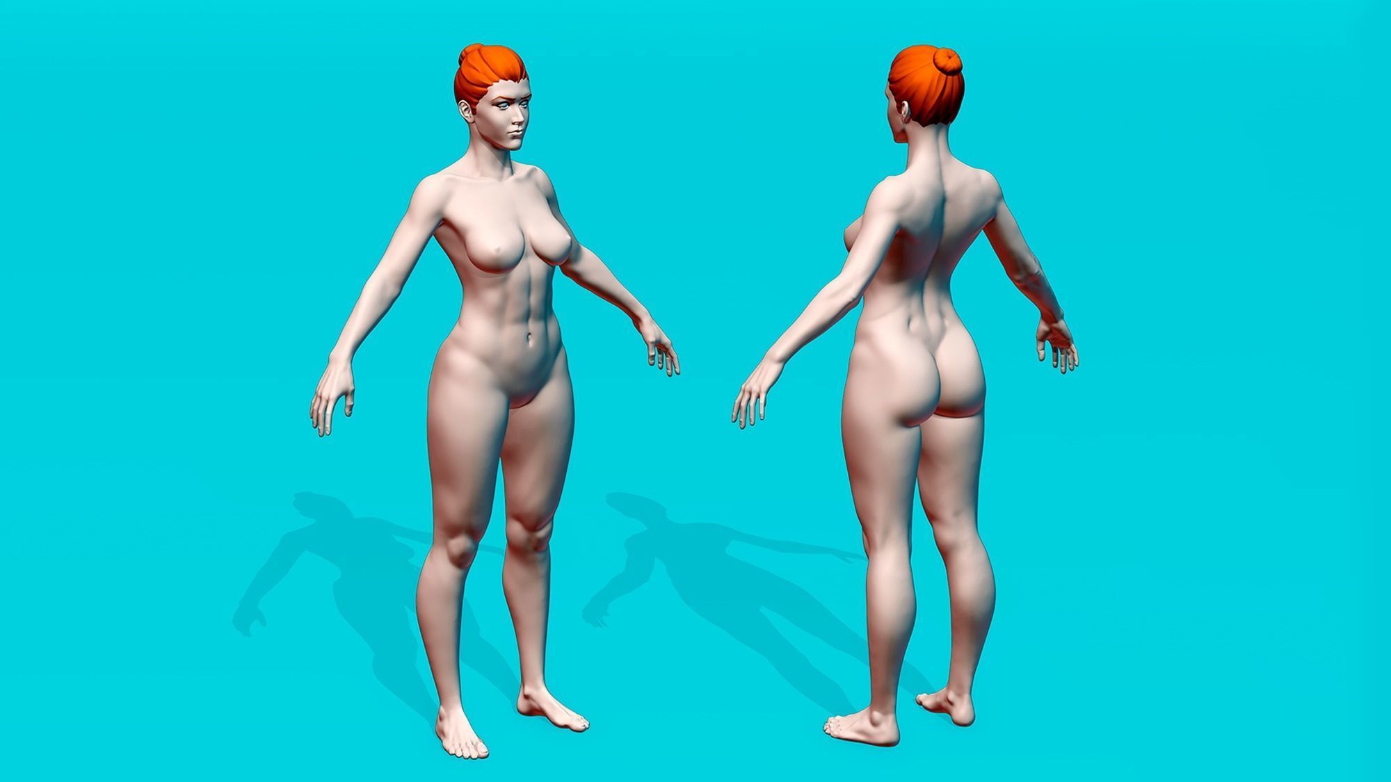Female Anatomy Basemesh 3D model_1