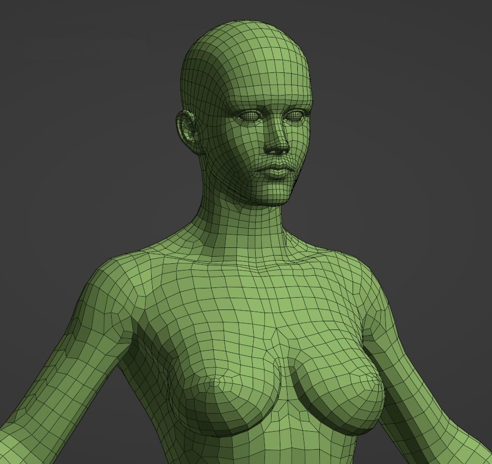 Female Anatomy Basemesh 3D model_6