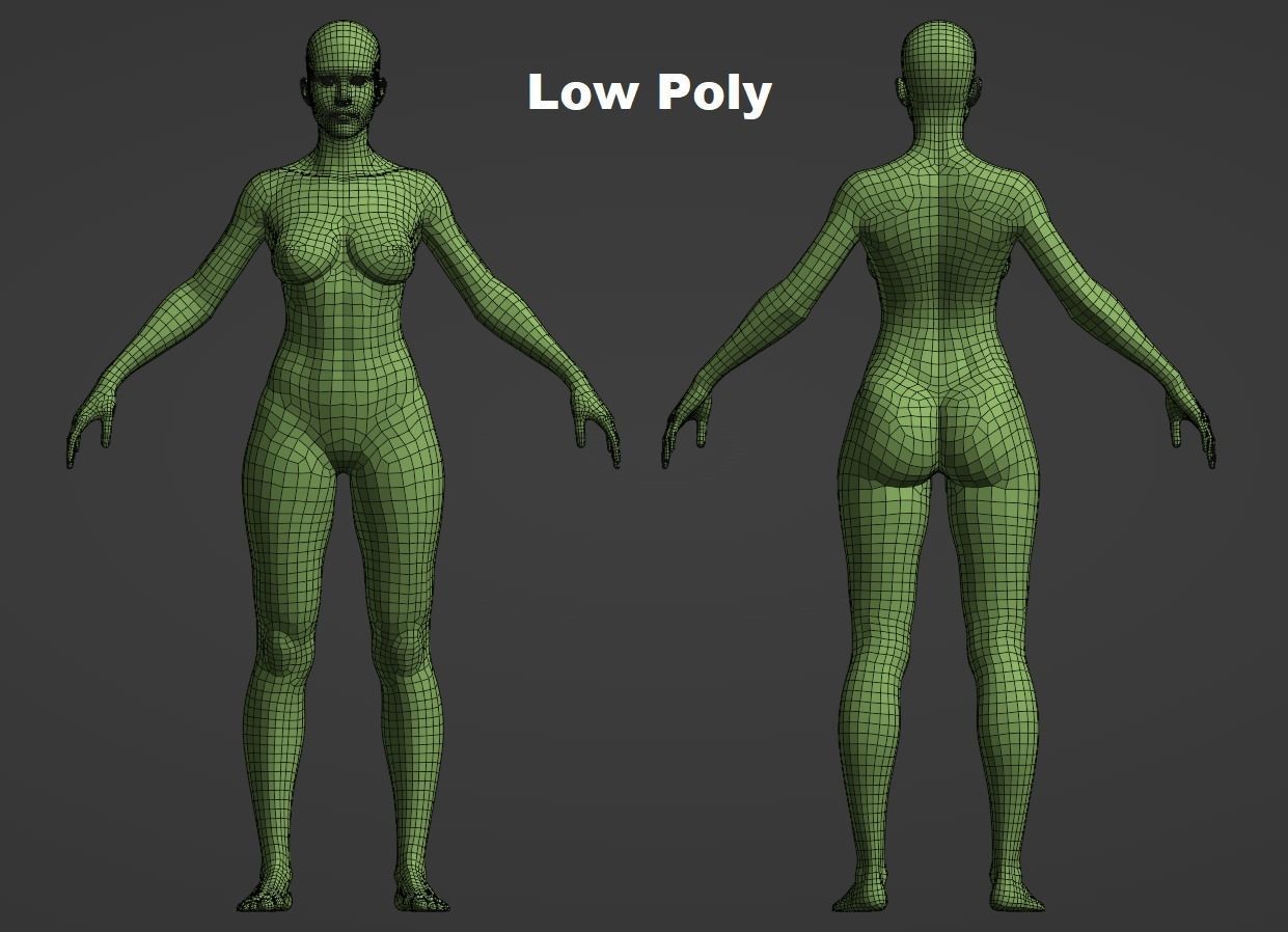 Female Anatomy Basemesh 3D model_5