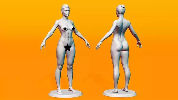 Female Anatomy Figurine