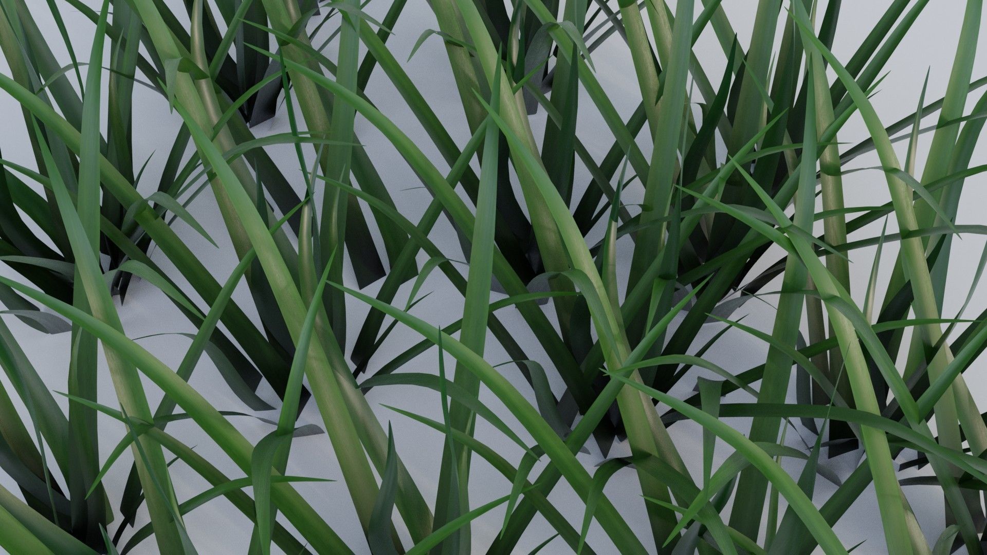 Grass a1 3D model_3