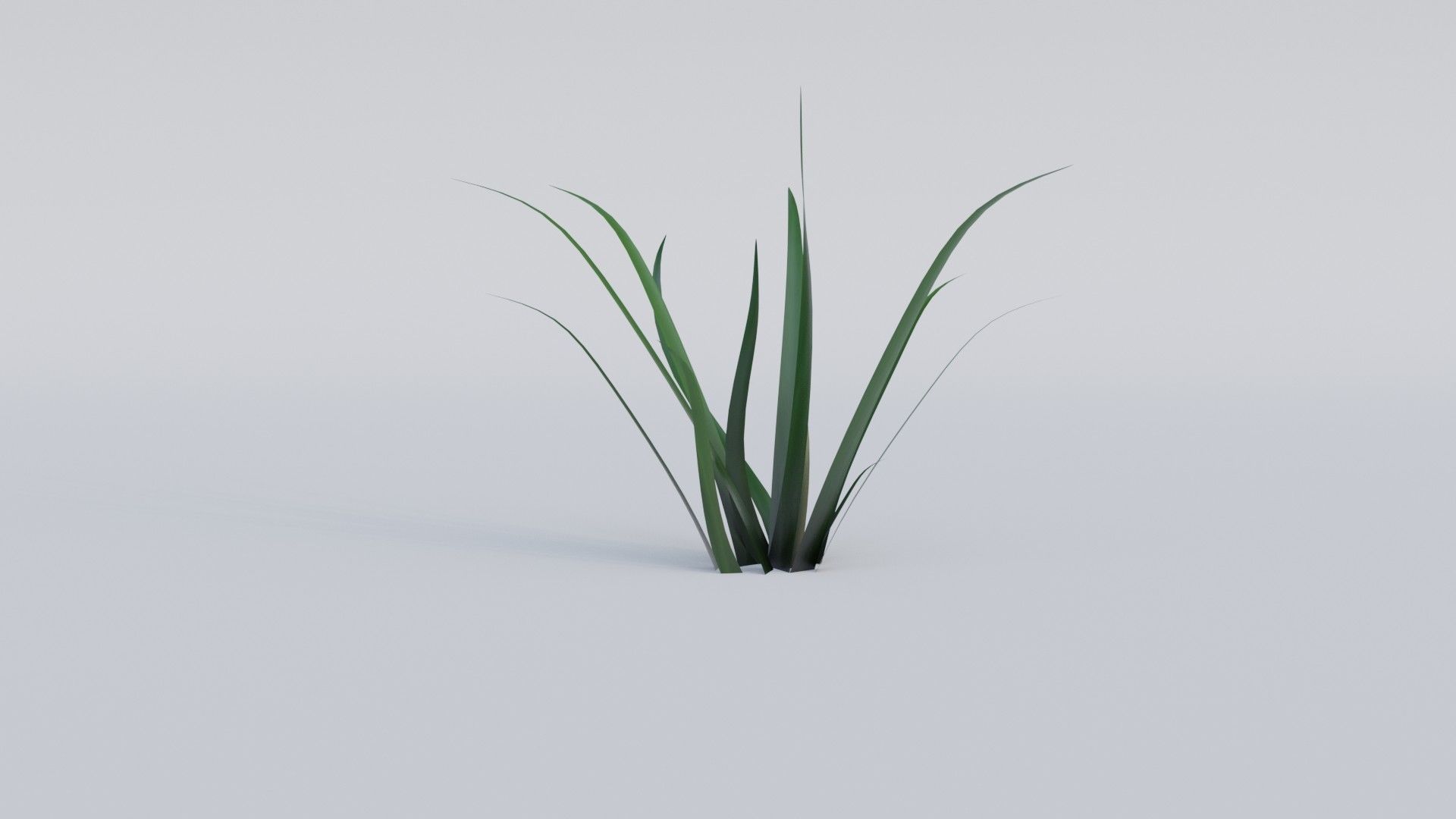 Grass a1 3D model_4