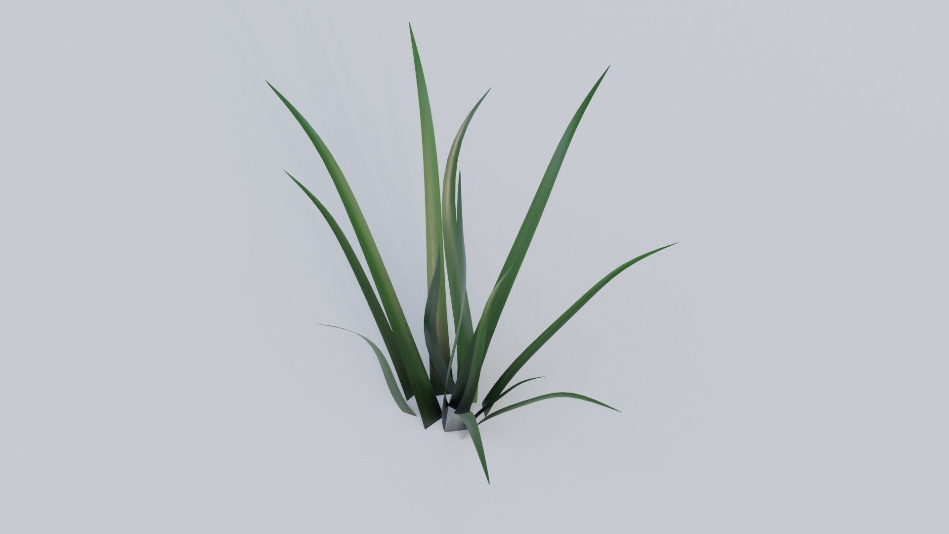 Grass a1 3D model_1