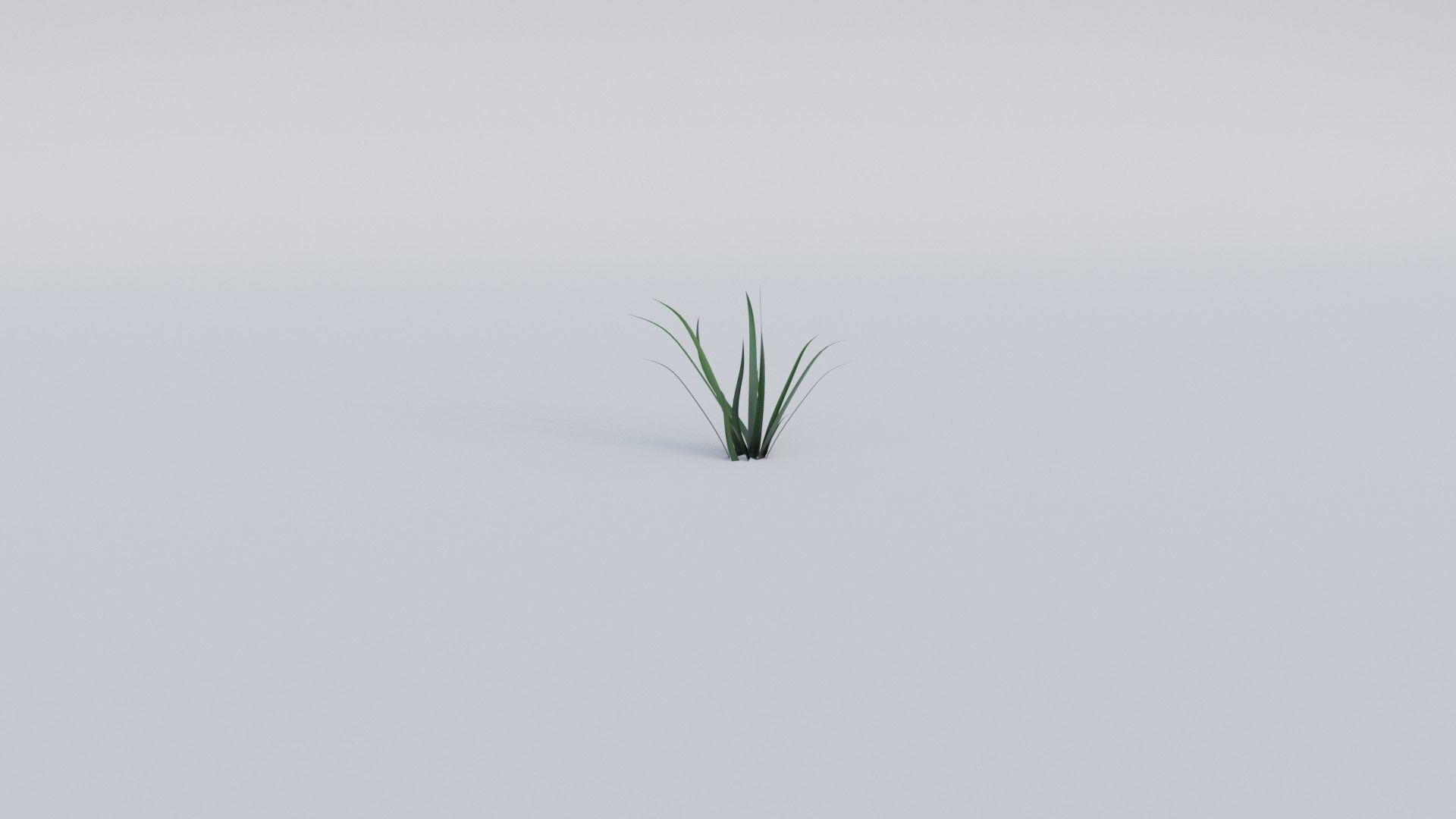 Grass a1 3D model_5