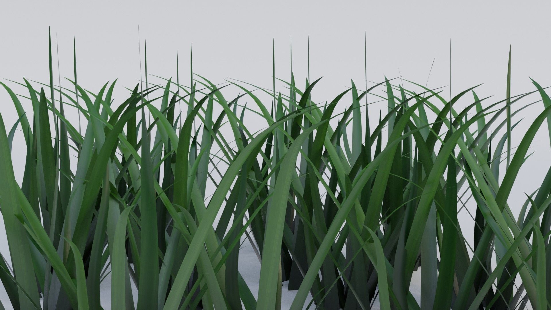 Grass a1 3D model_2