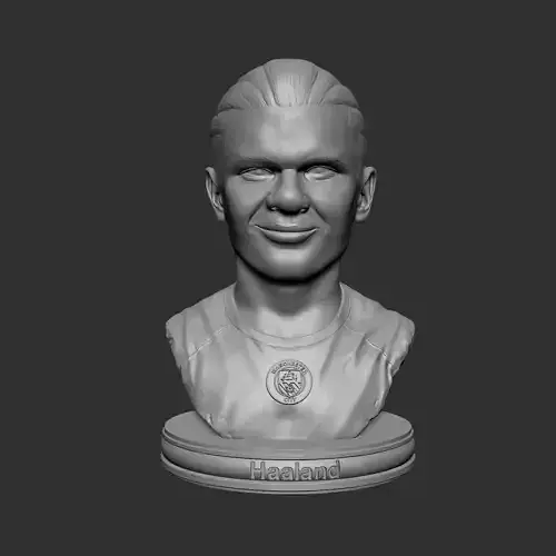 Erling Haaland