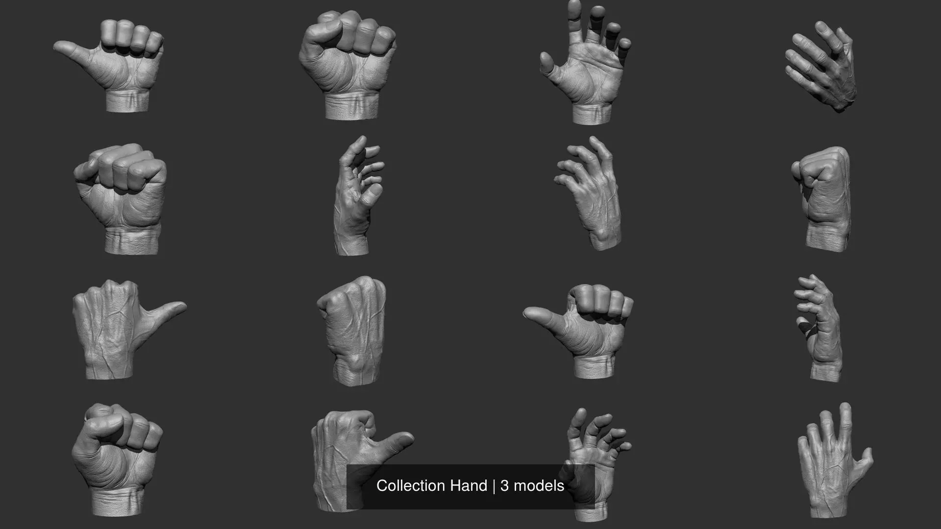 Collection Hand 3D Model Pack