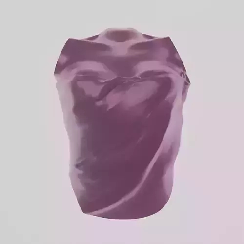 Womans torso wall decoration