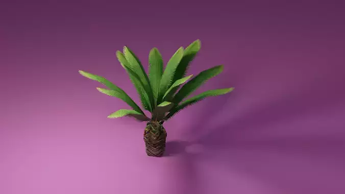 Sago Palm with baked textures Game ready Low poly