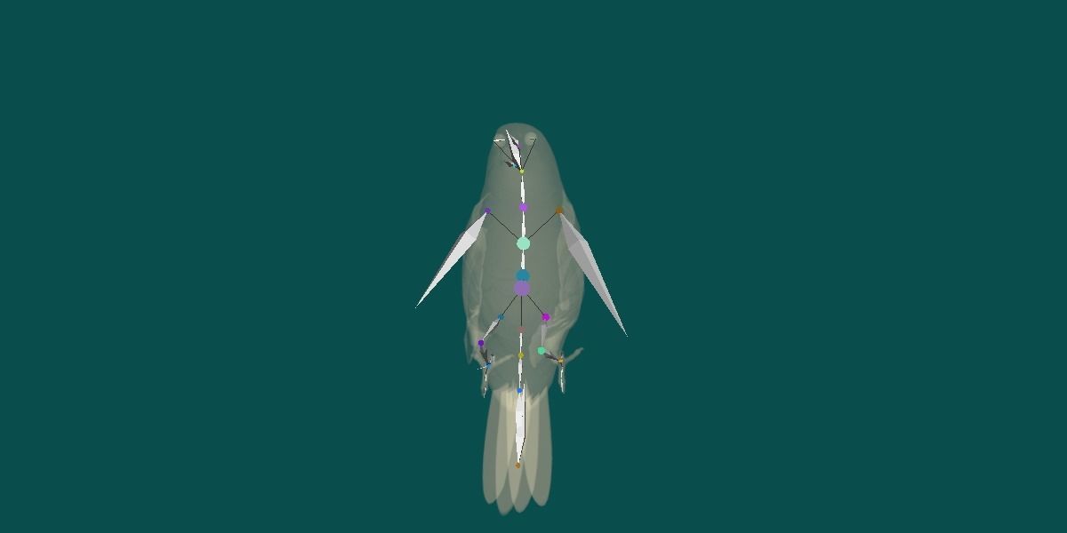 Finches Birds Animals 3D model_18