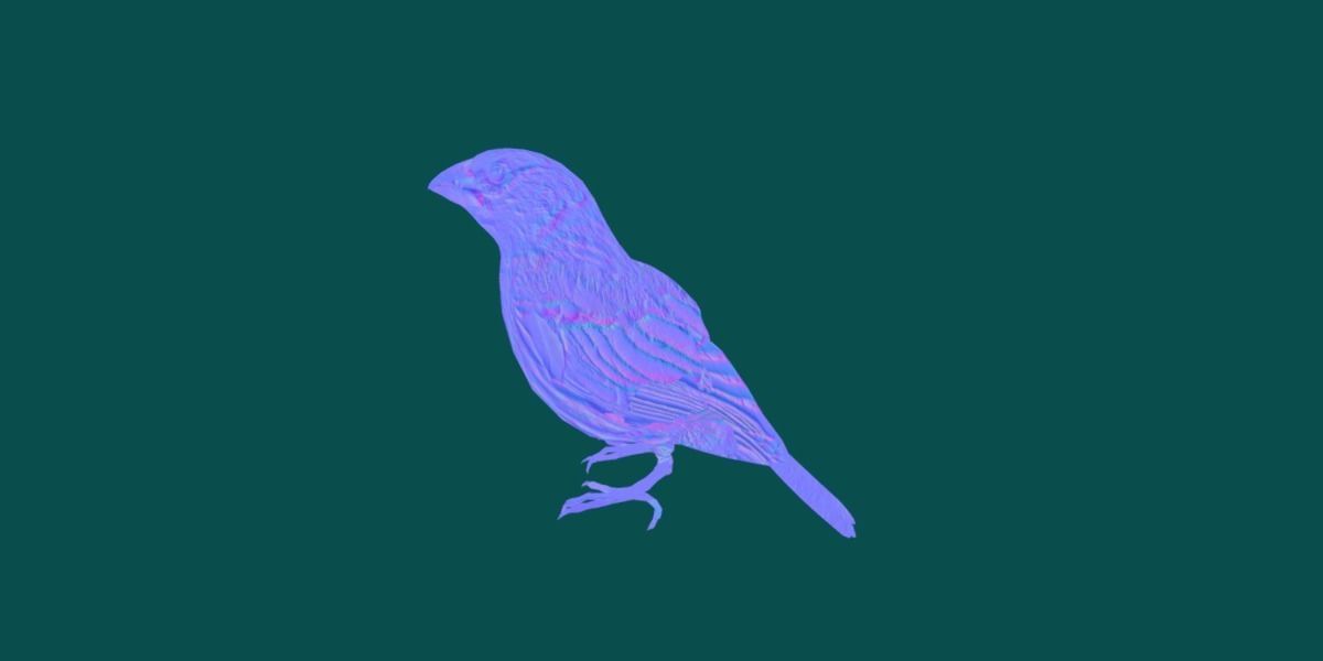 Finches Birds Animals 3D model_21