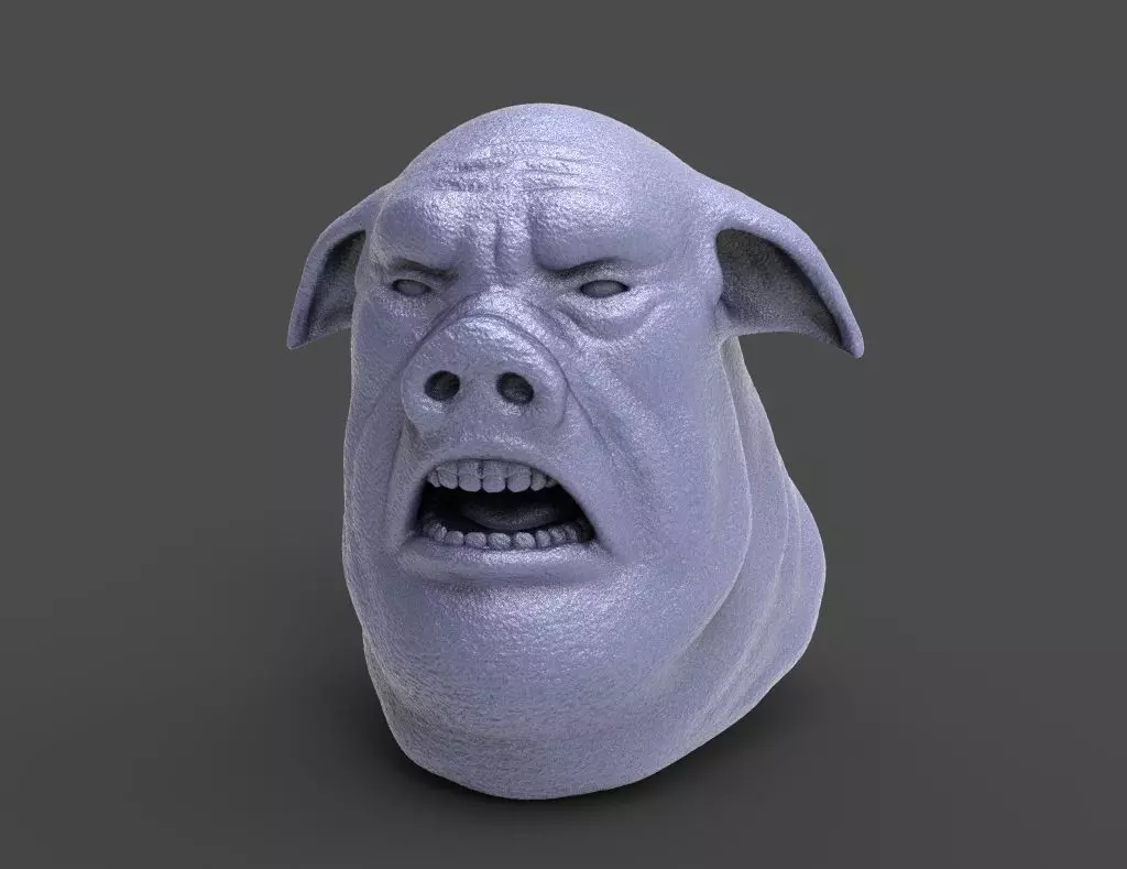 HEAD-Pig11  high poly sculpt 3D model  3D model_0