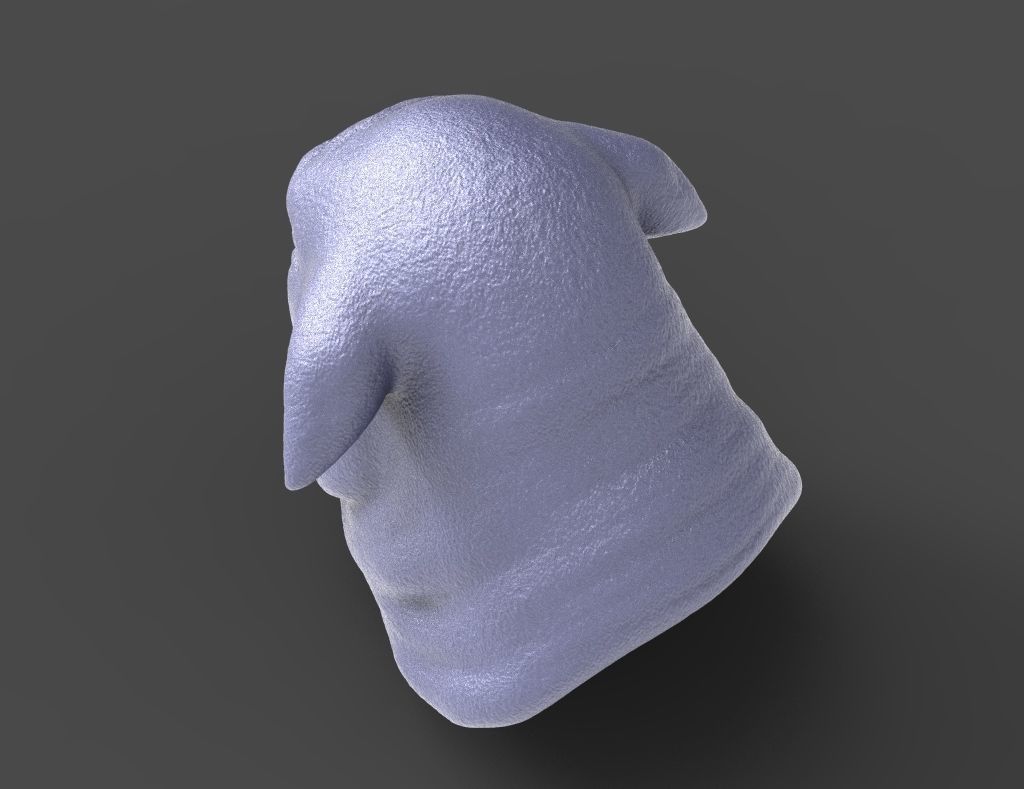 HEAD-Pig11  high poly sculpt 3D model  3D model_2