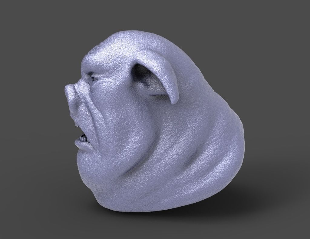 HEAD-Pig11  high poly sculpt 3D model  3D model_1