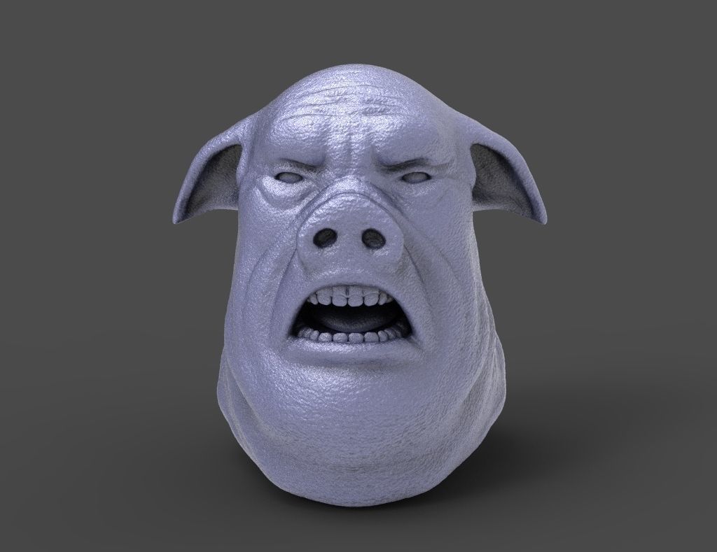 HEAD-Pig11  high poly sculpt 3D model  3D model_3