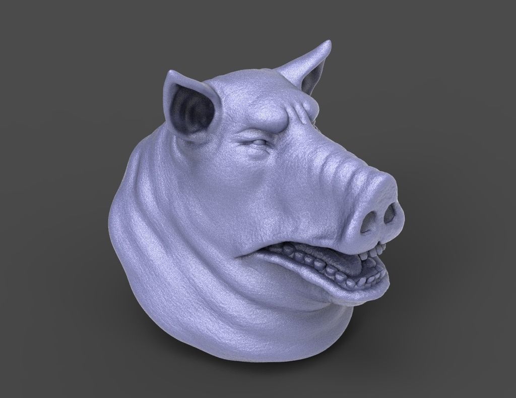 HEAD-Pig15 high poly sculpt  3D model_5