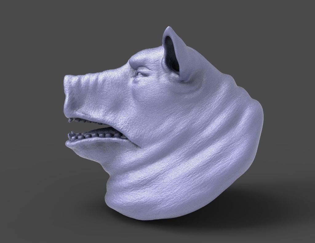 HEAD-Pig15 high poly sculpt  3D model_1