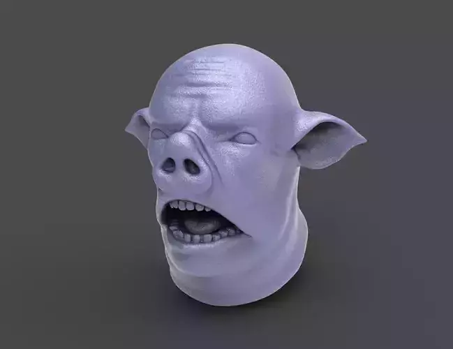 HEAD-Pig17 high poly sculpt