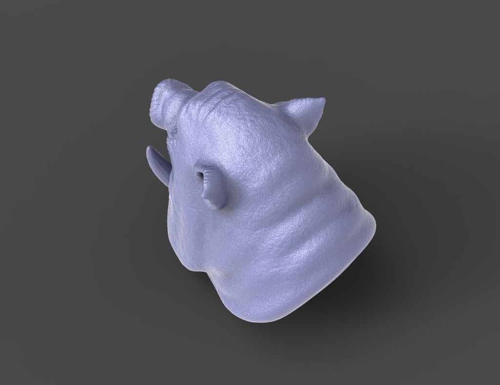 HEAD-Pig19 high poly sculpt 3D model_2
