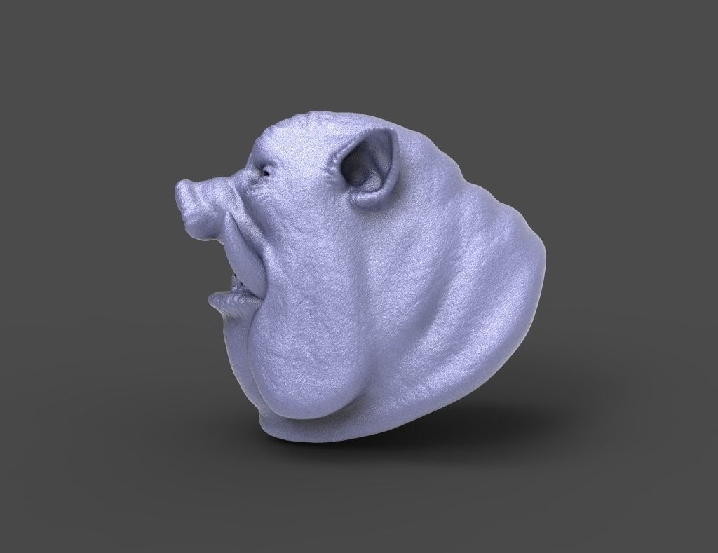 HEAD-Pig19 high poly sculpt 3D model_1