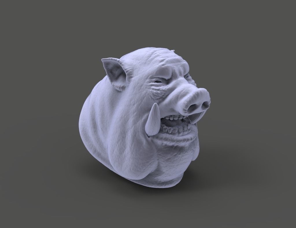HEAD-Pig19 high poly sculpt 3D model_5