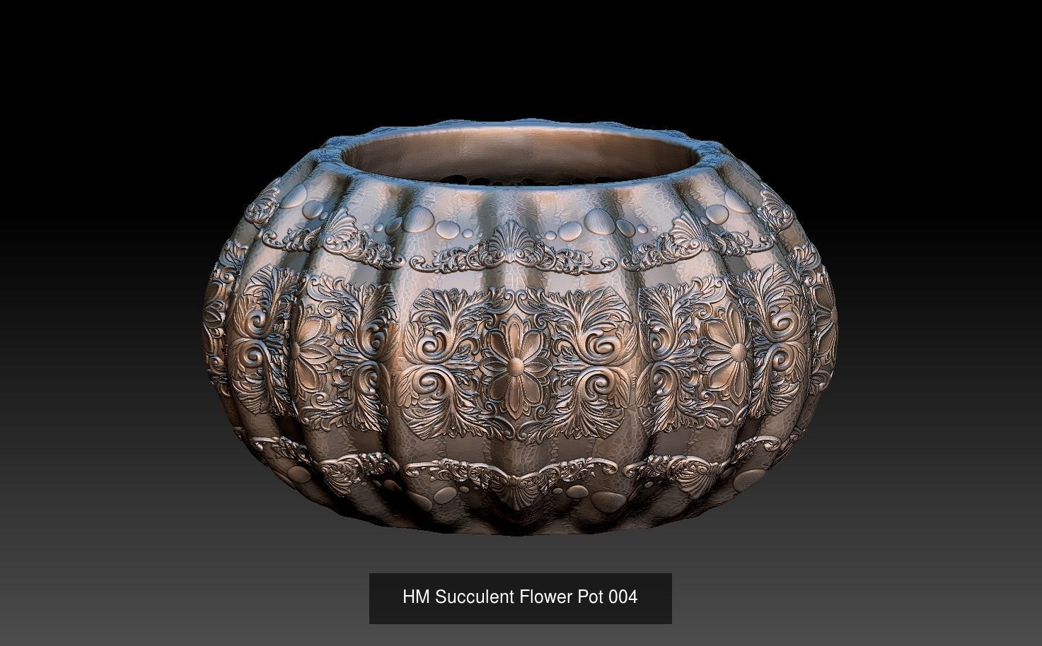 HM Succulent Flower Pot Three Models together Promotional price 3D Model Collection_3