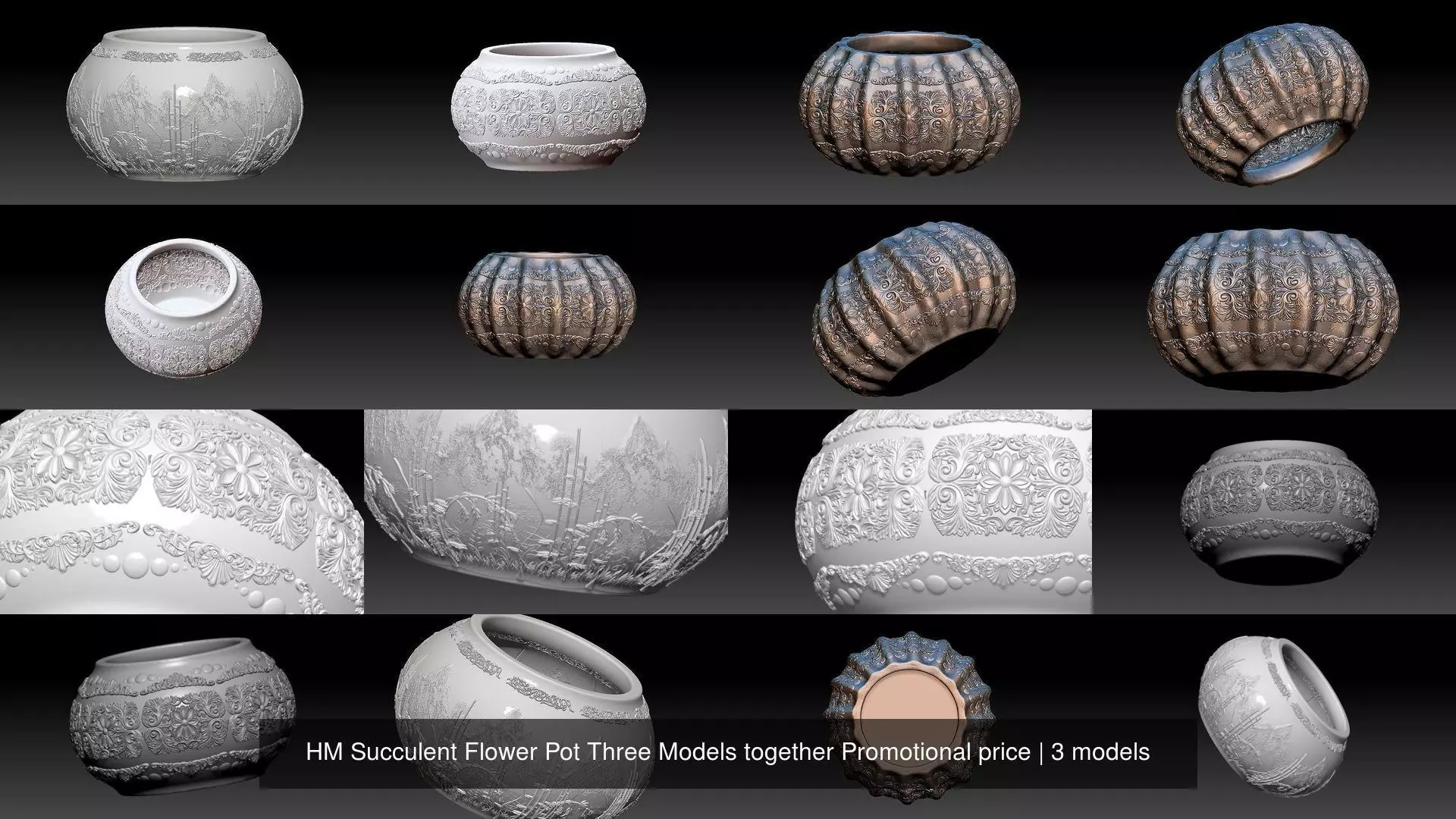 HM Succulent Flower Pot Three Models together Promotional price 3D Model Collection_0