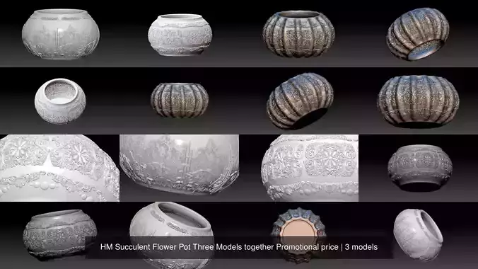 HM Succulent Flower Pot Three Models together Promotional price